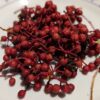 assiette de baies rouges de Zanthoxylum piperitum, Poivrier de Sichuan