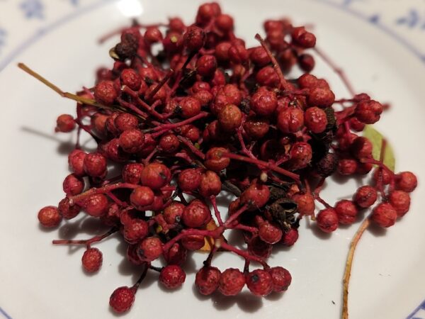 assiette de baies rouges de Zanthoxylum piperitum, Poivrier de Sichuan