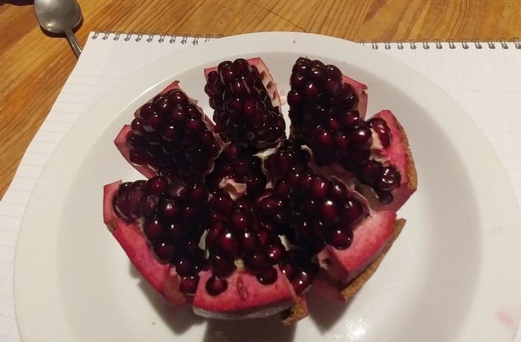 punica-granatum-kirmiz-kabub