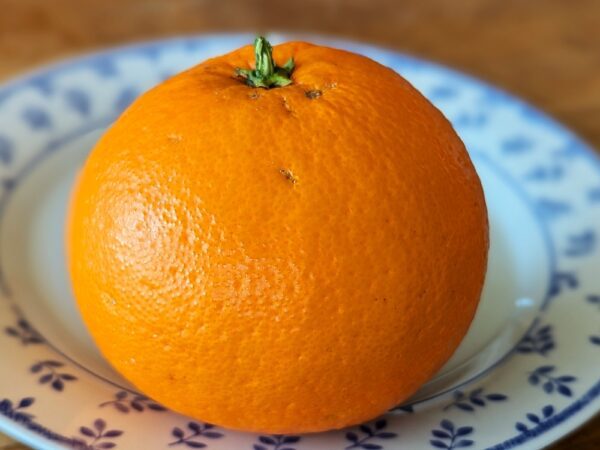 une orange CaraCara posée sur une assiette