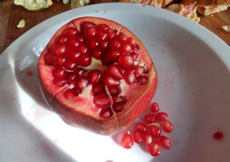 punica-granatum-uzbek-open