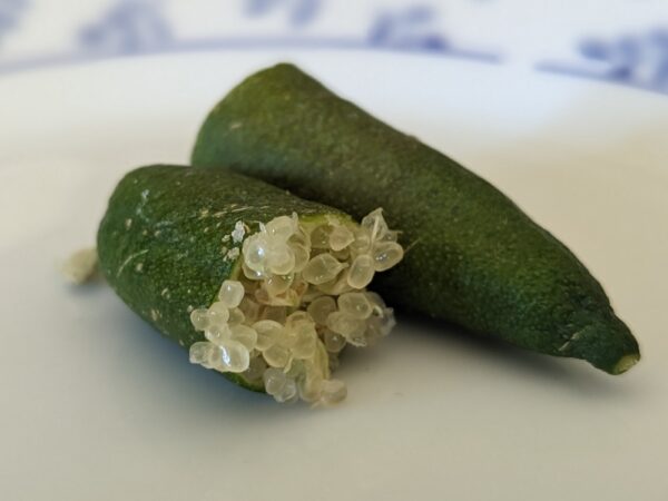 un citron caviar vert coupé en deux avec un côté chair