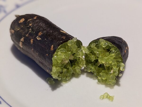citron caviar vert - coupé en deux