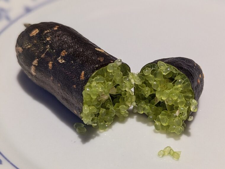 citrus-caviar-vert-open-25-11-23