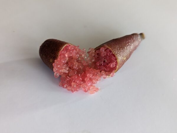 fruit de citron caviar pink pearl coupé en deux