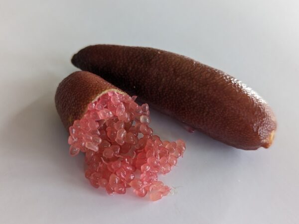 Citron caviar Pink Pearl entier et un autre coupé en deux
