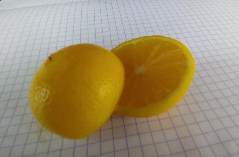 citrus-lime-de-mexique