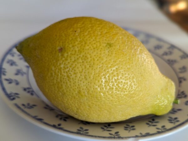 un citron feminello posé sur une assiette