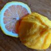 un citron panaché ouvert