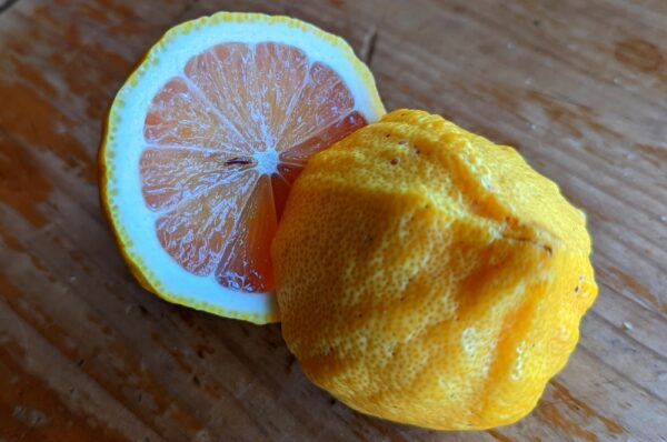 un citron panaché ouvert