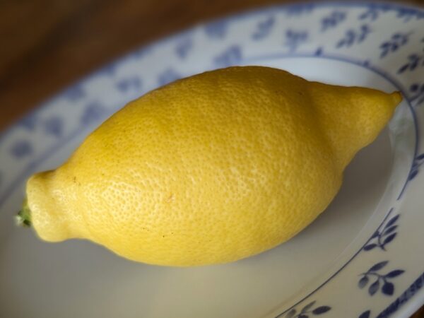 un beau citron jaune feminello, allongé, sur une assiette