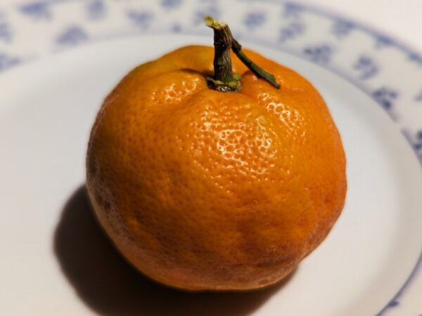 Une mandarine Shangsa sur une assiette blanche