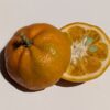 1 mandarine Shangsa coupée en deux