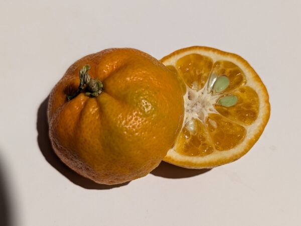 1 mandarine Shangsa coupée en deux