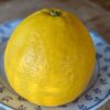 un beau fruit de bloomsweet sur une assiette
