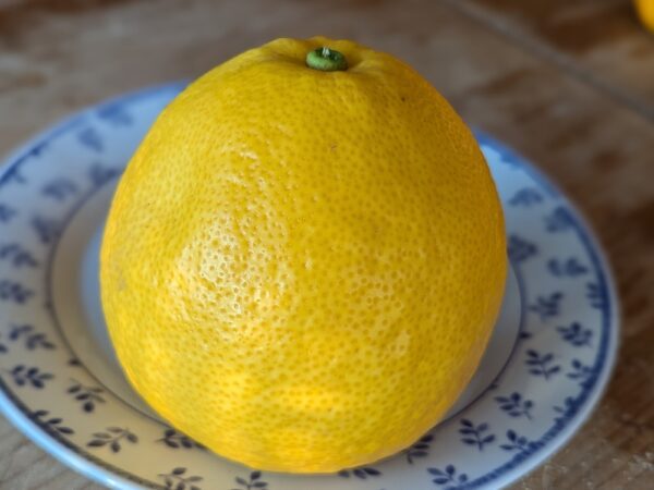 un beau fruit de bloomsweet sur une assiette