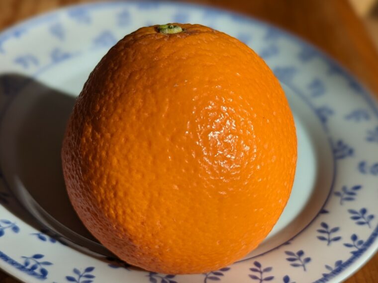 citrus-orange-fukuhara