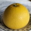 un pomelo Enzo jaune posée sur une assiette