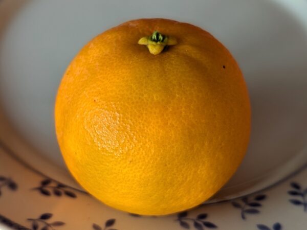 Fragola - orange-fraise sur une assiette