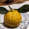 un joli citrus yuko avec deux feuilles sur une assiette
