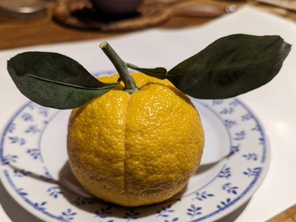 un joli citrus yuko avec deux feuilles sur une assiette