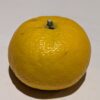 un beau fruit jaune de Yuko
