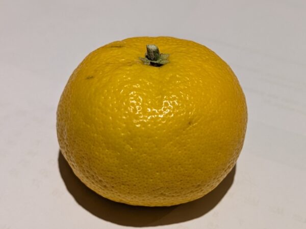 un beau fruit jaune de Yuko