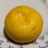 un citrus yuko