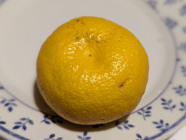 un citrus yuko