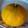 un citrus yuko jaune sur une assiette