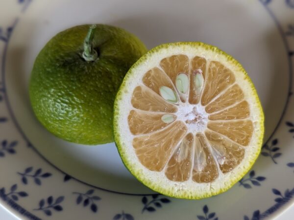 Un citrus yuko coupé en deux, un côté chair, un côté peau