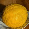 Cédratier de Corse, peau épaisse, cœur tendre (sucré)
