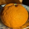 Satsuma « Brown Select » Une des meilleures mandarines japonaises, assez précoce