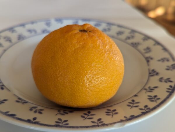 un fruit bien orange d'Iwasaki