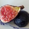 une belle figue mûre d'un ficus carica black ischia coupé en deux sur une assiette