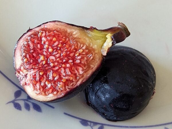 une belle figue mûre d'un ficus carica black ischia coupé en deux sur une assiette