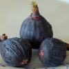 trois figues mûres d'un ficus carica black ischia sur une assiette