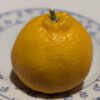 Un Shiranui jaune sur une assiette