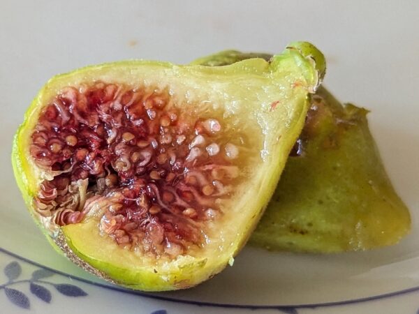 une figue blanche bien mûre de ficus carica Blanche d'Argenteuil coupée en deux sur une assiette