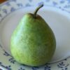 une poire d'un perrotier vert sur une assiette