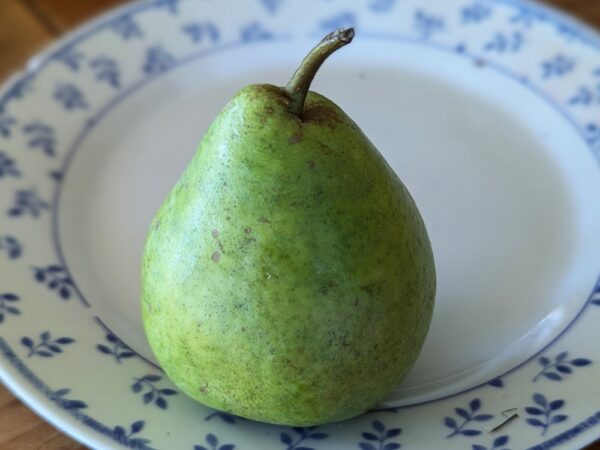 une poire d'un perrotier vert sur une assiette
