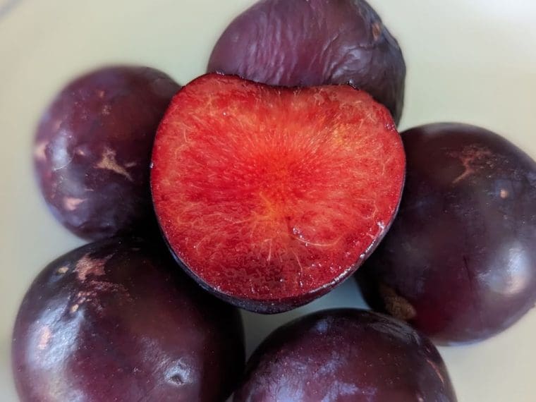 prune-cerise-sprite-open