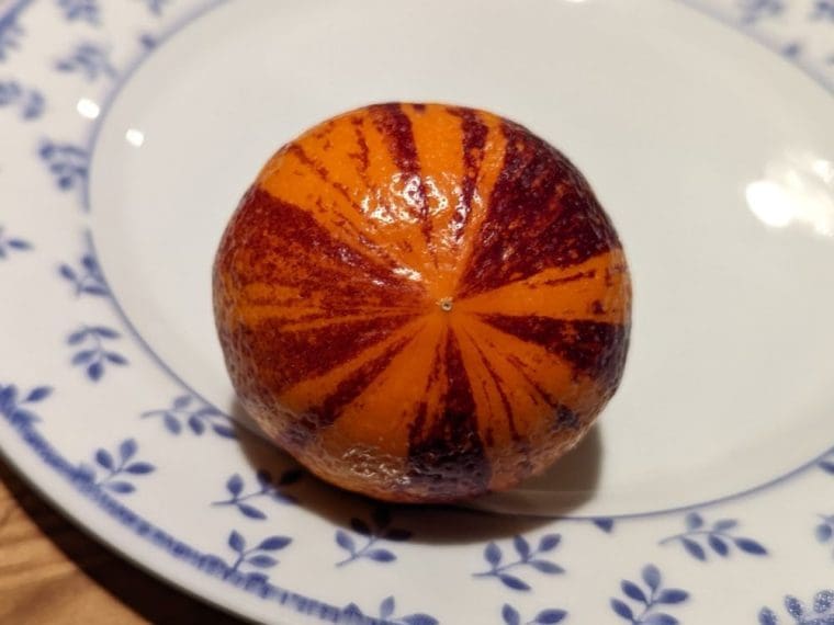 citrus-doppio
