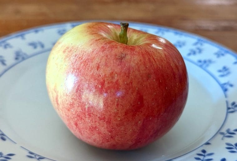 malus-nationale-81-22