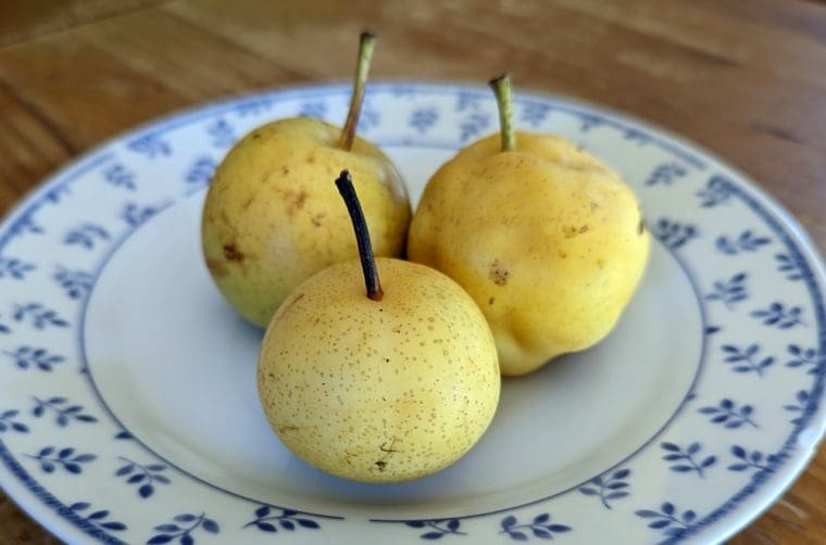 Nashi-petit-blanc-juillet