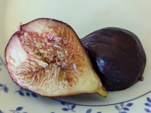 une figue coupée en deux Bursa Brown, un côté chair, un côté peau, sur une assiette