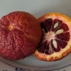 Une mandarine sanguine coupée en deux sur une assiette
