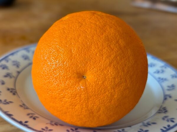 une orange posée sur une assiette