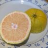 Wekiwa est un petit fruit à peau jaune, légèrement orangé à maturité, assez résistant au froid