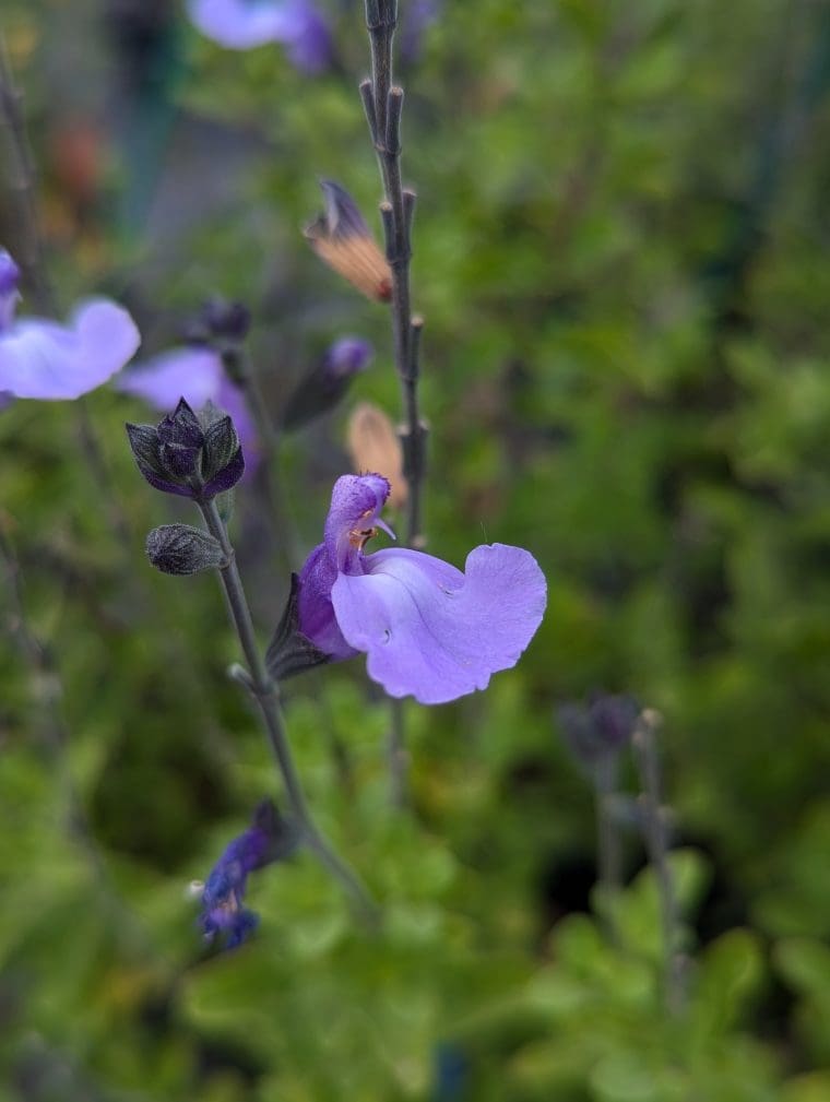 PXL_20240621_135516640.PORTRAIT.ORIGINAL[1]